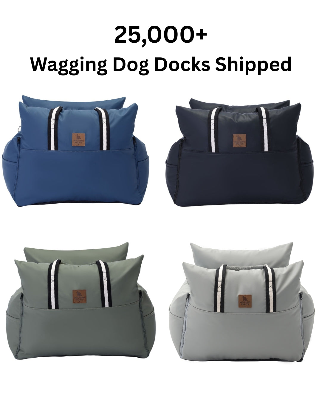 Dog Dock V2 New With Latch Anchors