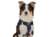 Wagging Rights Adjustable Harness